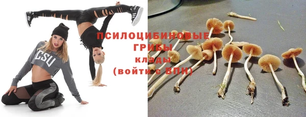 гидра Семикаракорск