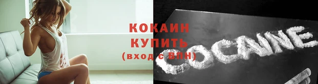 соль ск Снежногорск