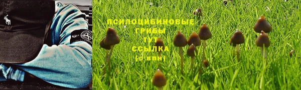 Альфа ПВП Семёнов
