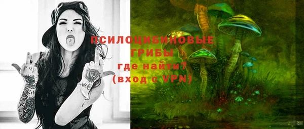 прущий лед Семилуки