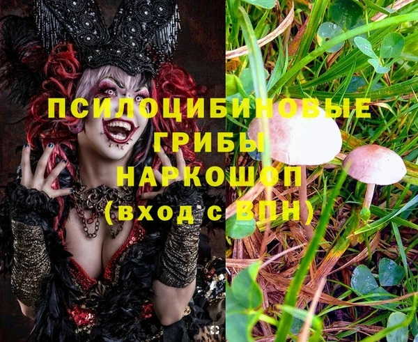 ПСИЛОЦИБИНОВЫЕ ГРИБЫ Балахна