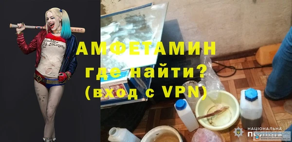 прущие грибы Снежинск
